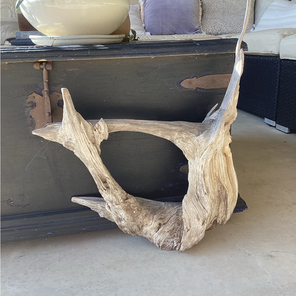 Real Wood, One-Piece Tree Root - Picture 10 of 11